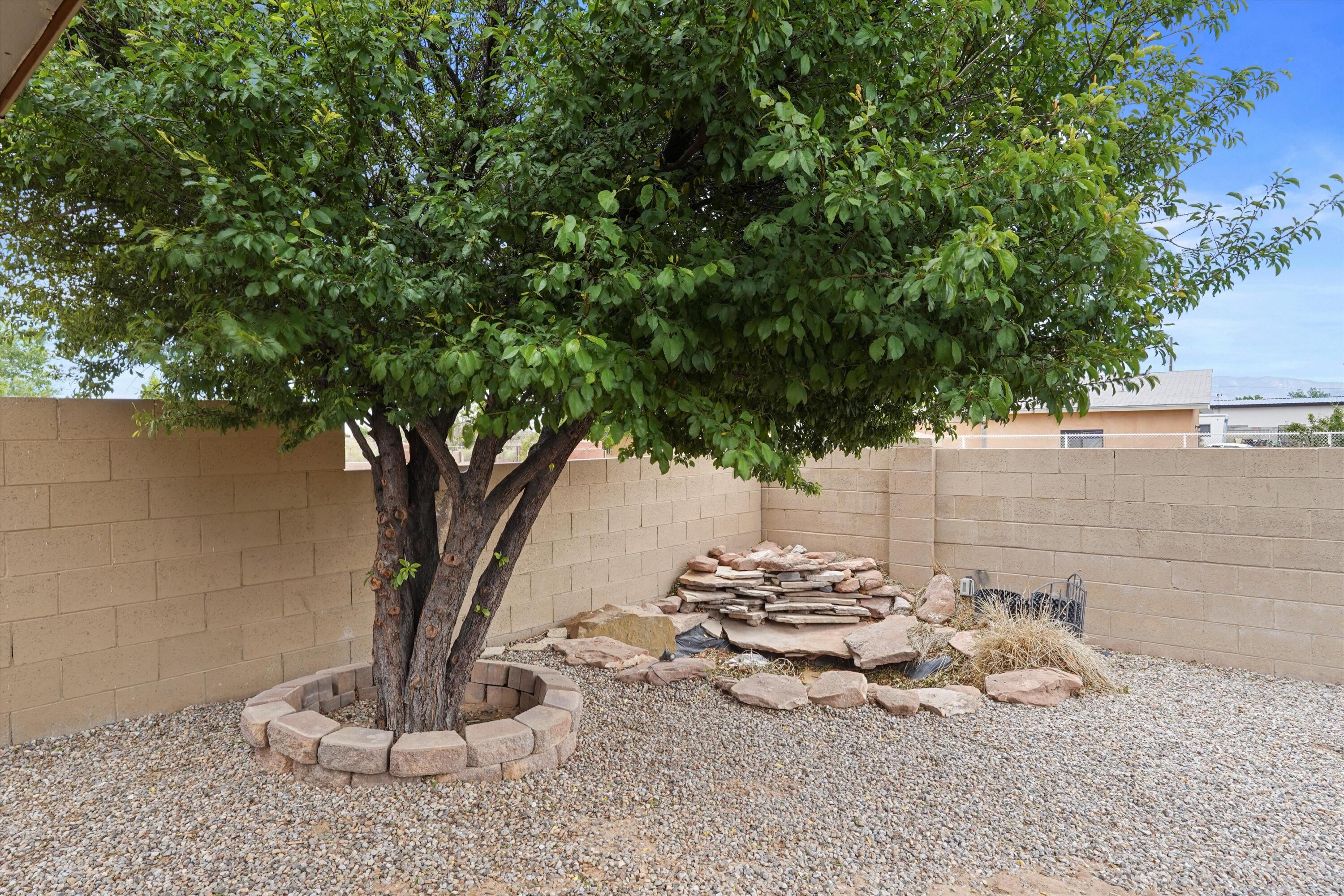 656 COTTONTAIL Street SW