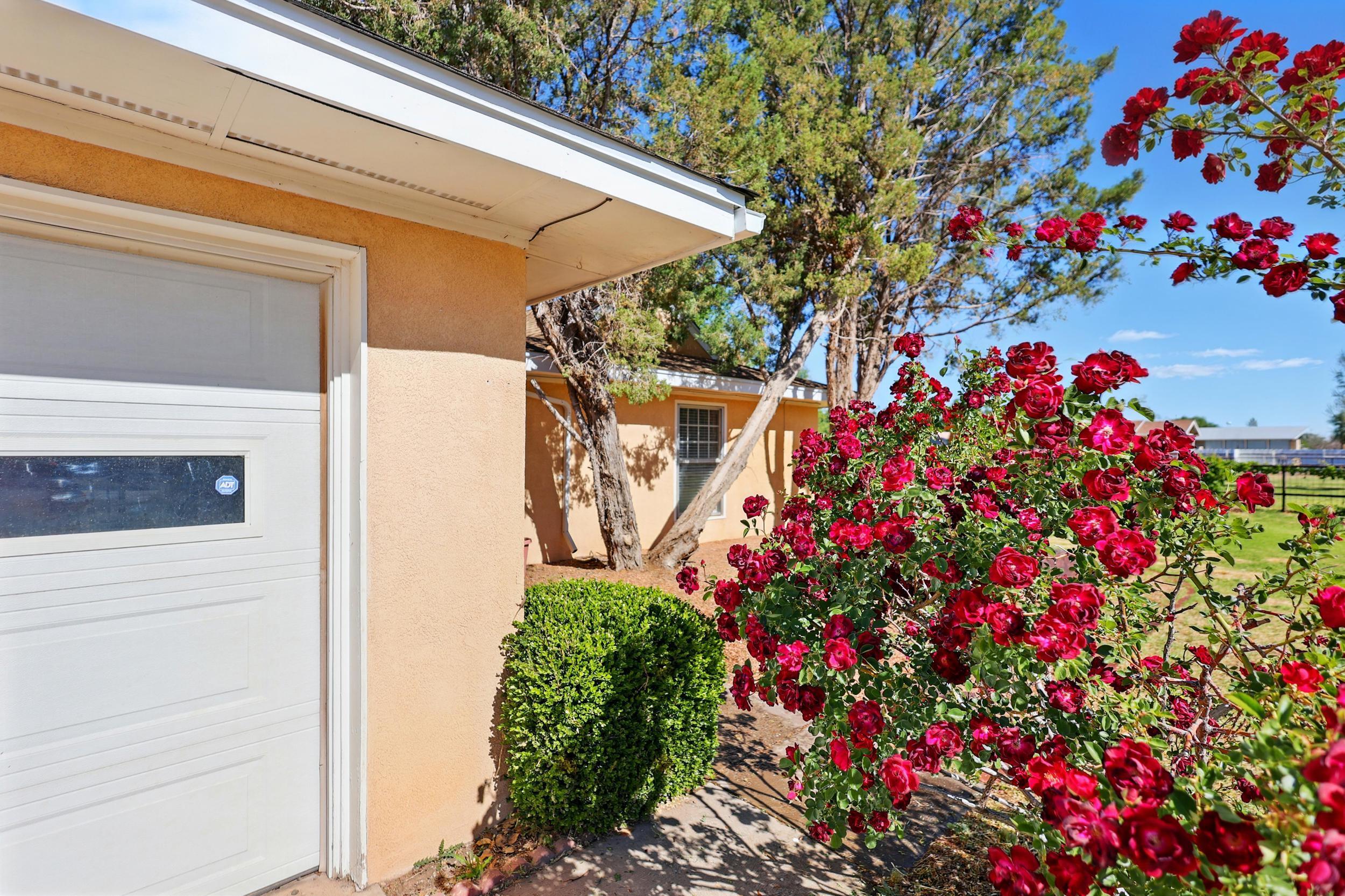 1595 W BOSQUE Loop