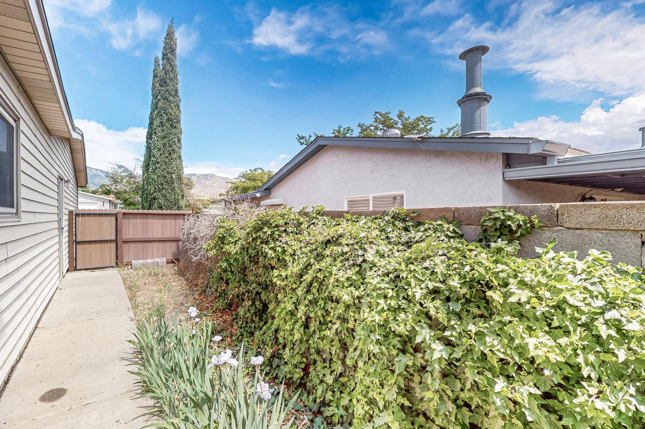 1217 LANDMAN Drive NE