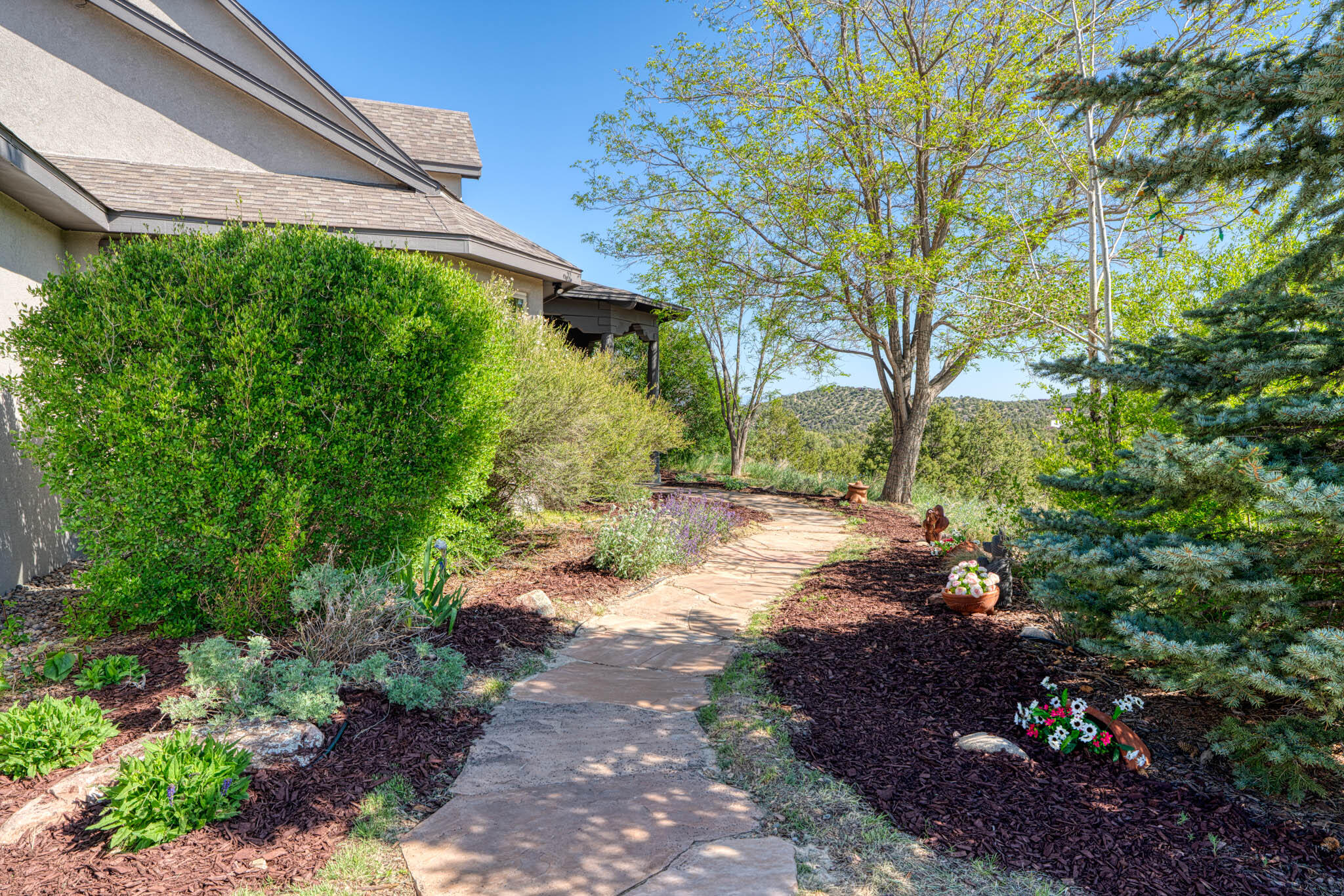 7 LOBELIA Lane