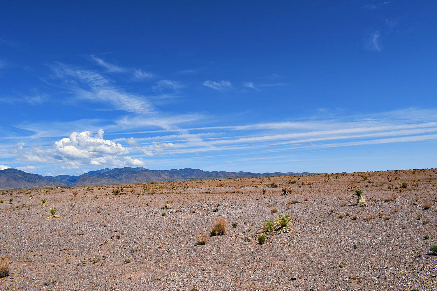4 Lots Rolling Hills