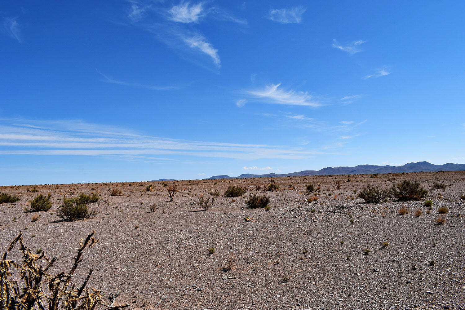 4 Lots Rolling Hills