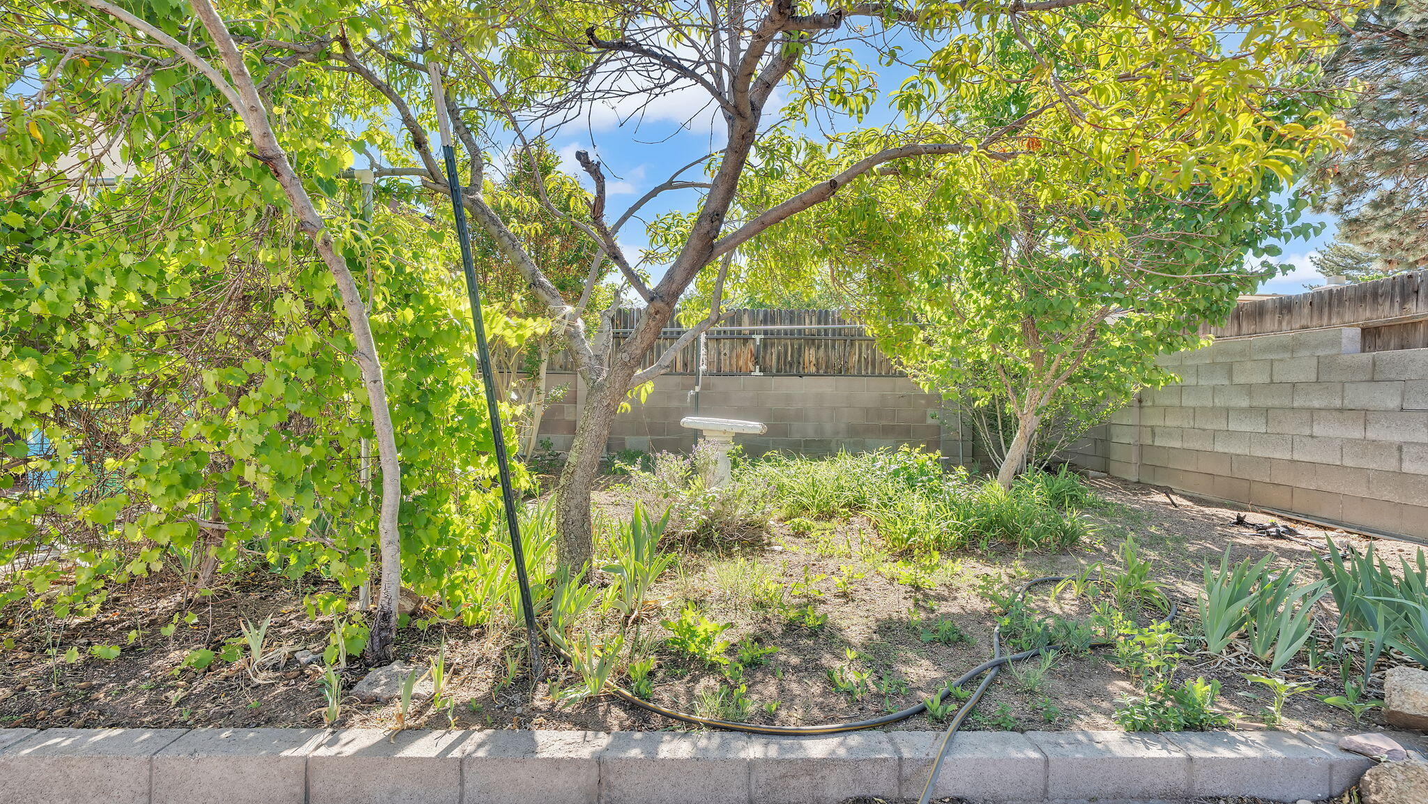 6600 AVENIDA LA COSTA NE