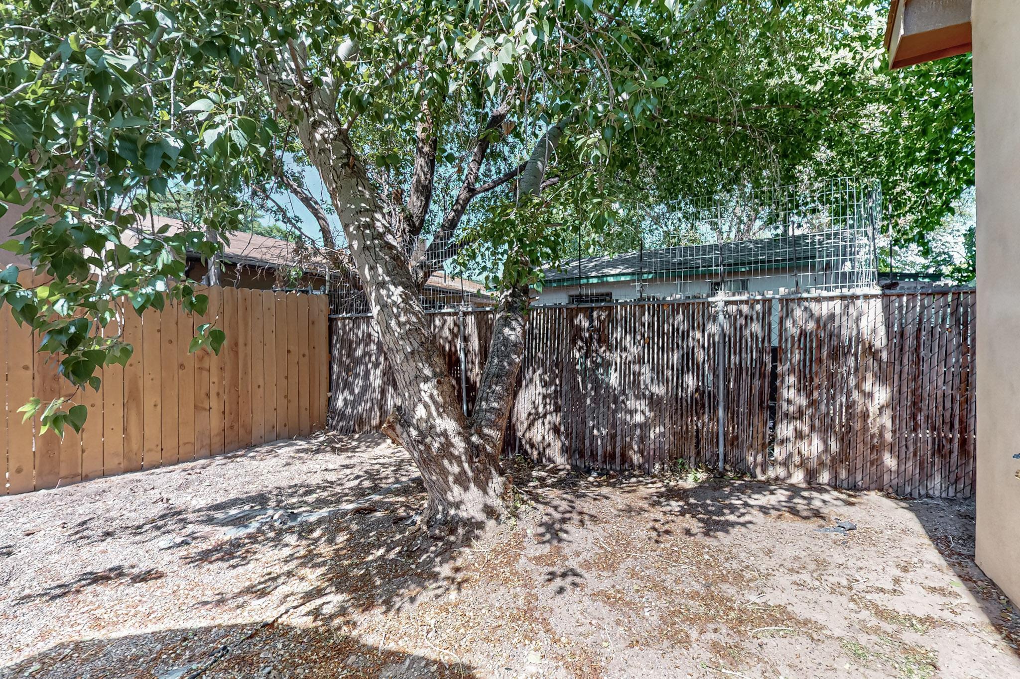 713 LEWIS Avenue SW