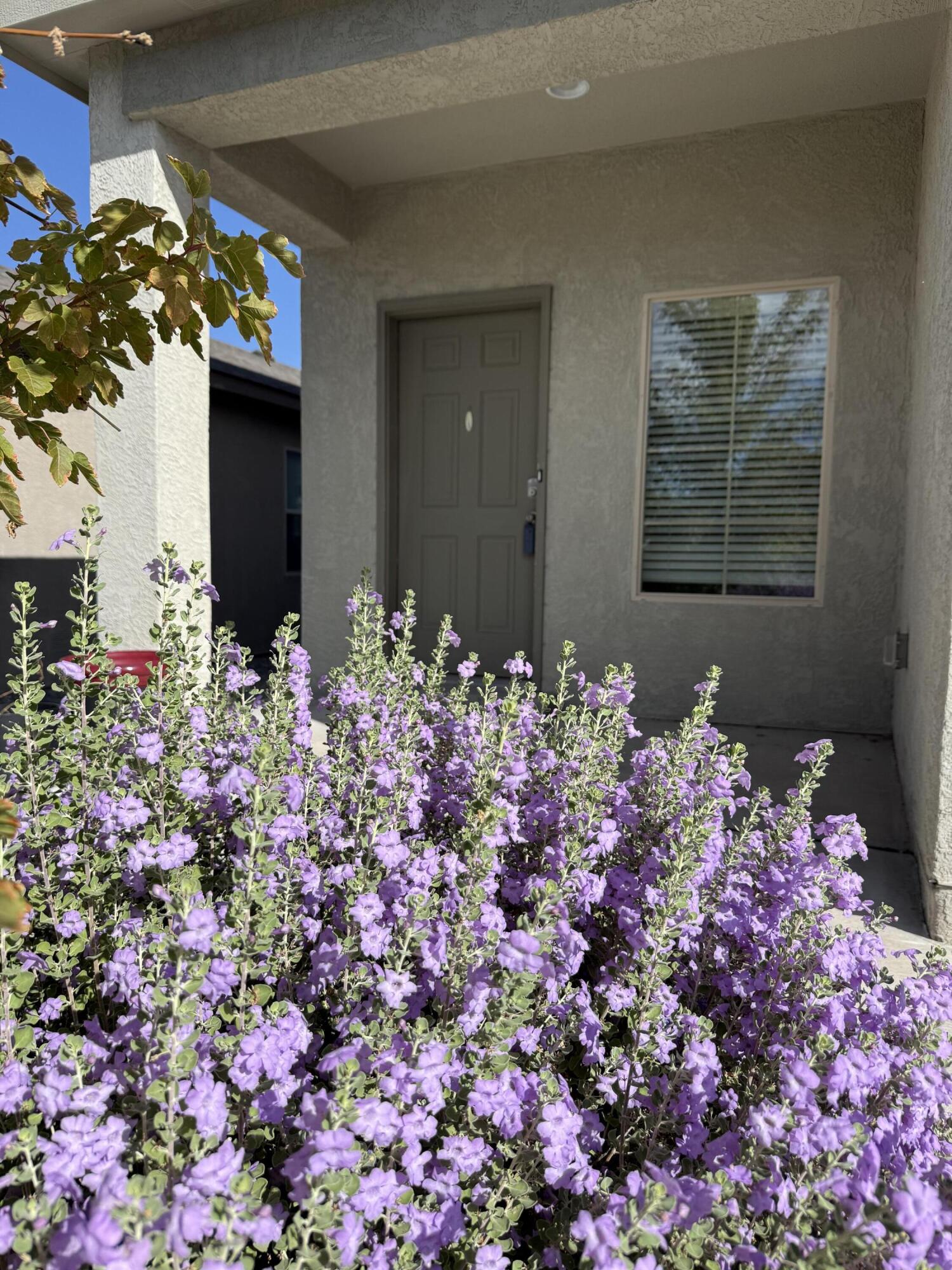 4871 LONGS PEAK Road NE