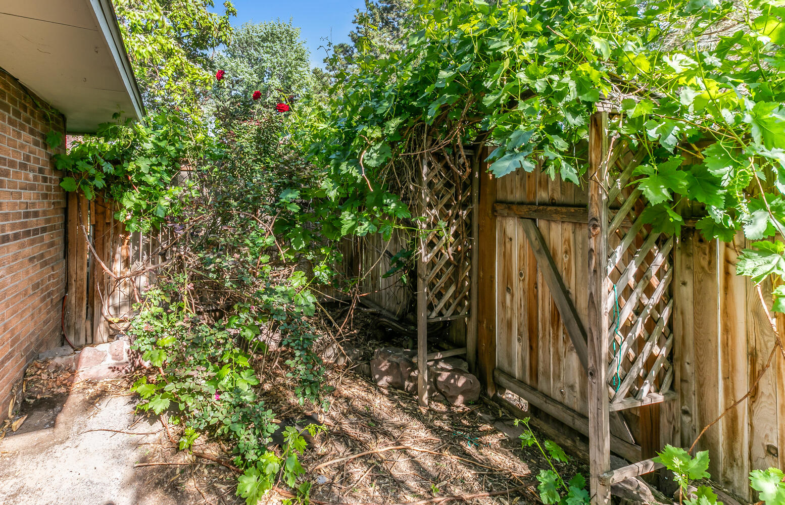 24 Lakeshore Drive NE