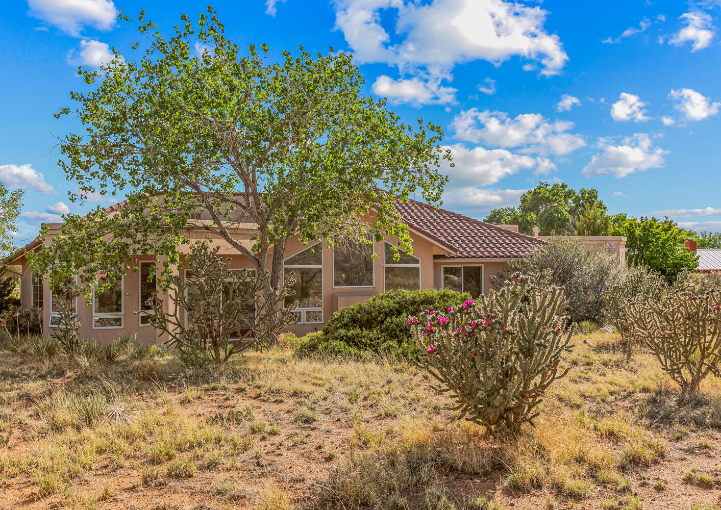 12511 ELENA Drive NE