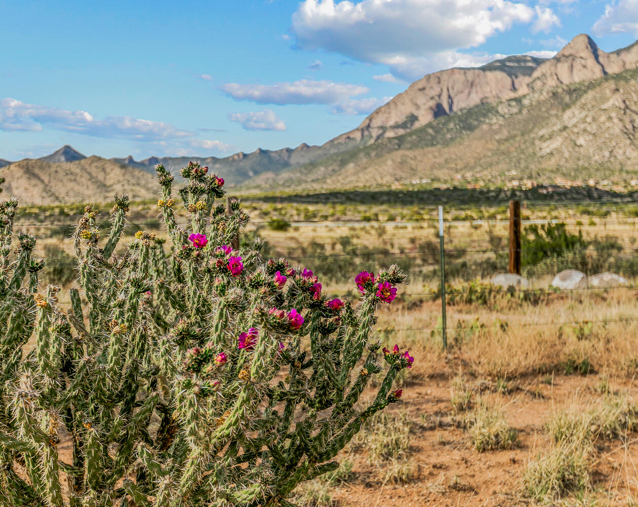 12511 ELENA Drive NE