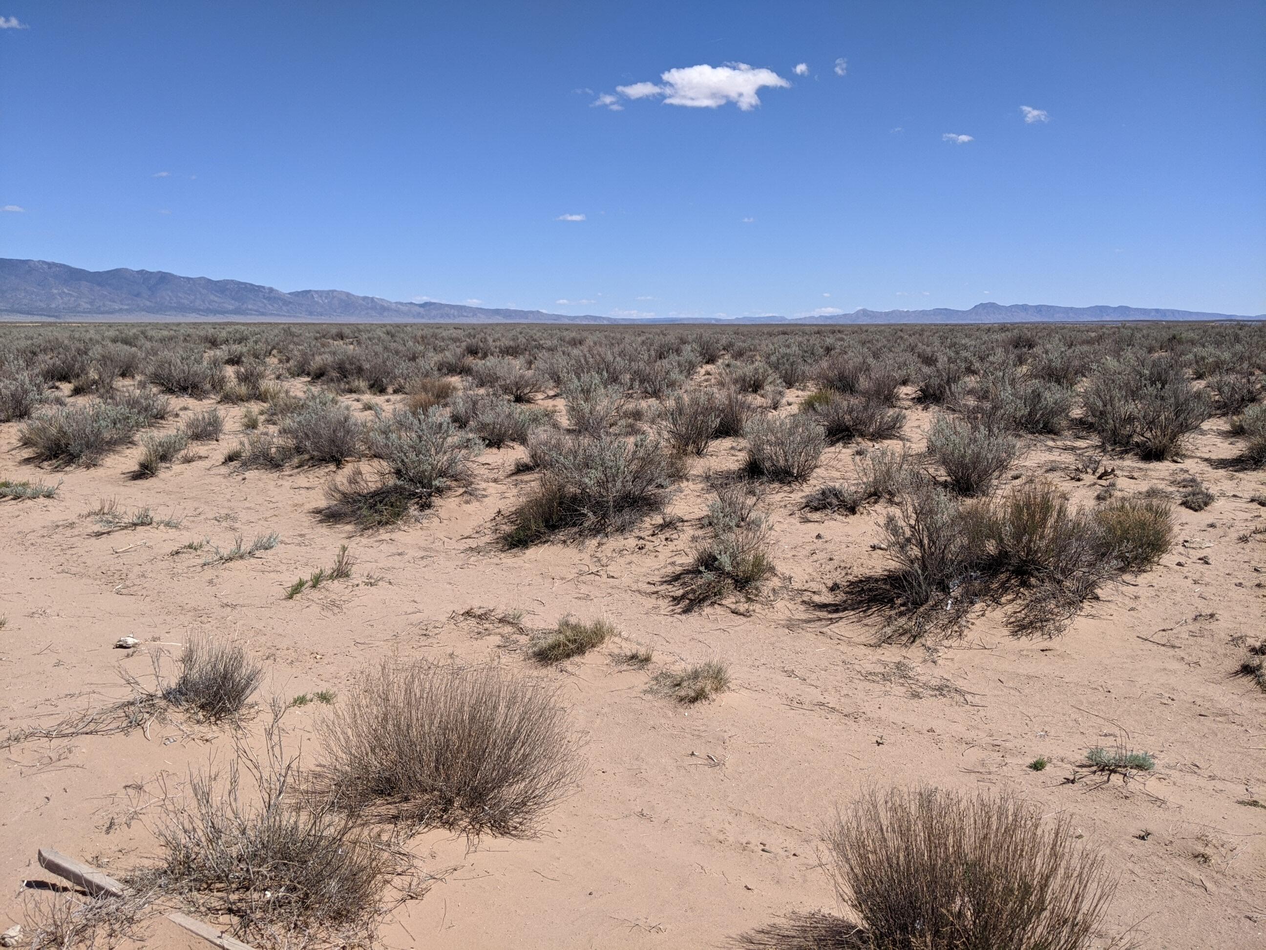 Rio Grande Estates Lot 24