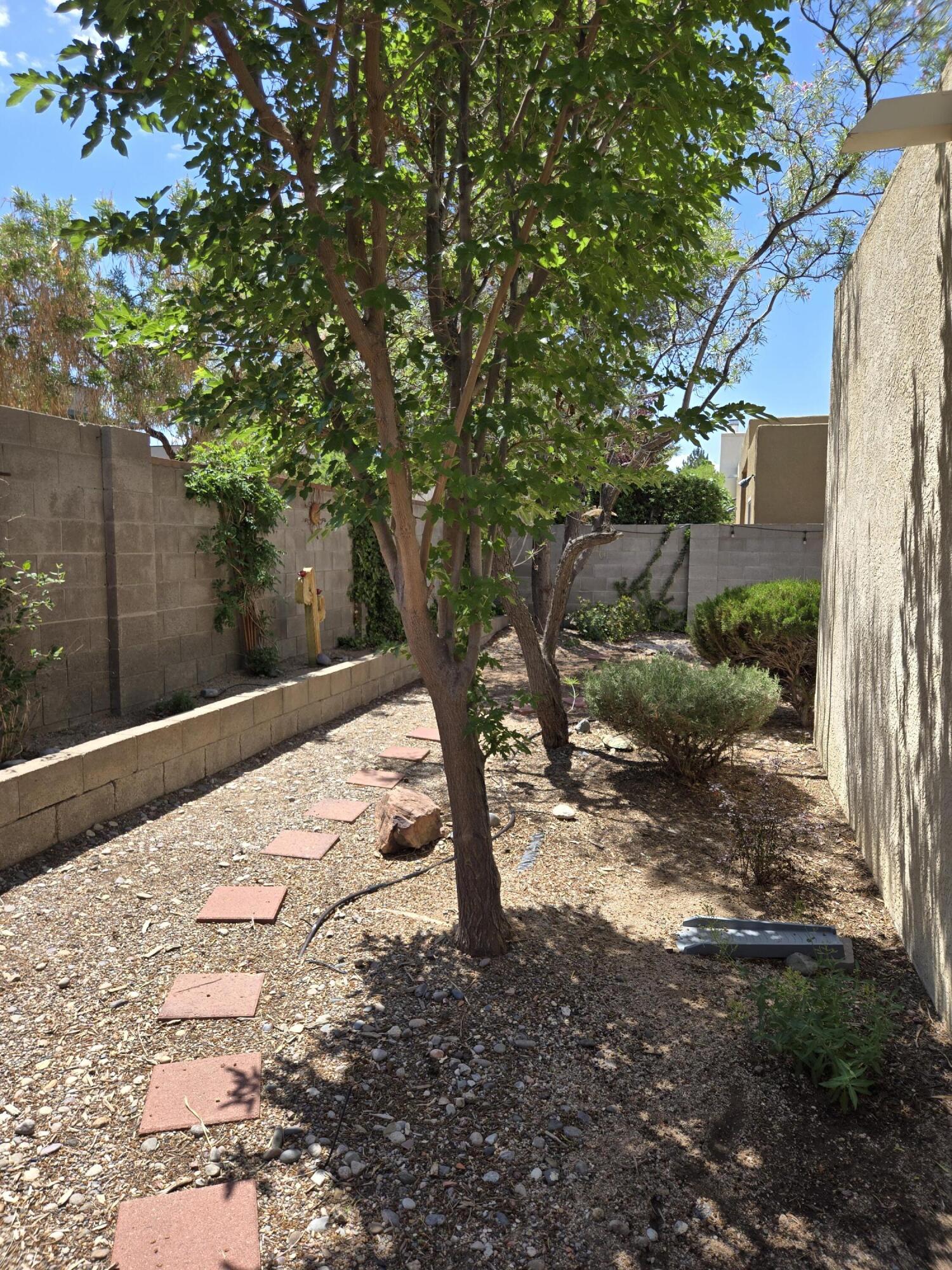 6700 VISTA DEL MONTE NE
