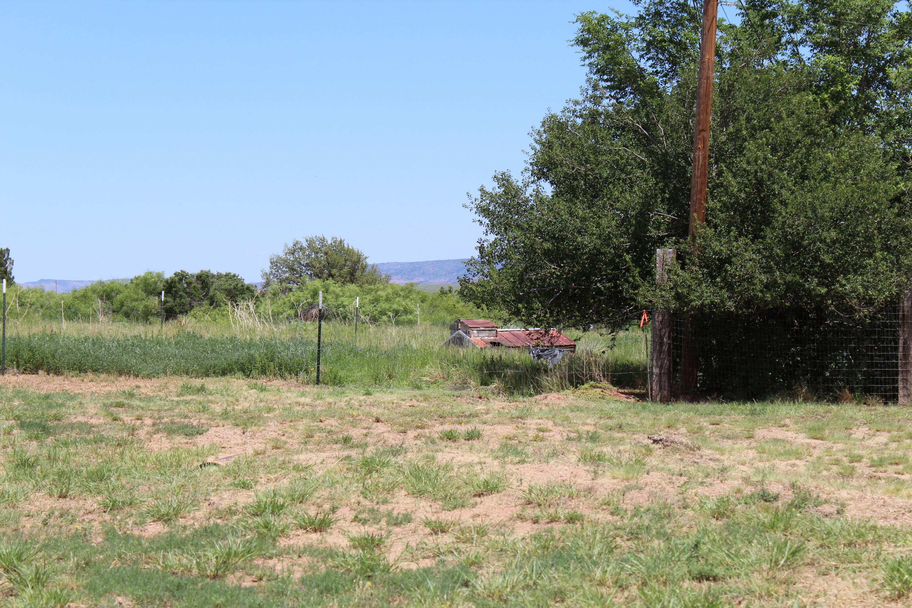 615 Bullhead Drive