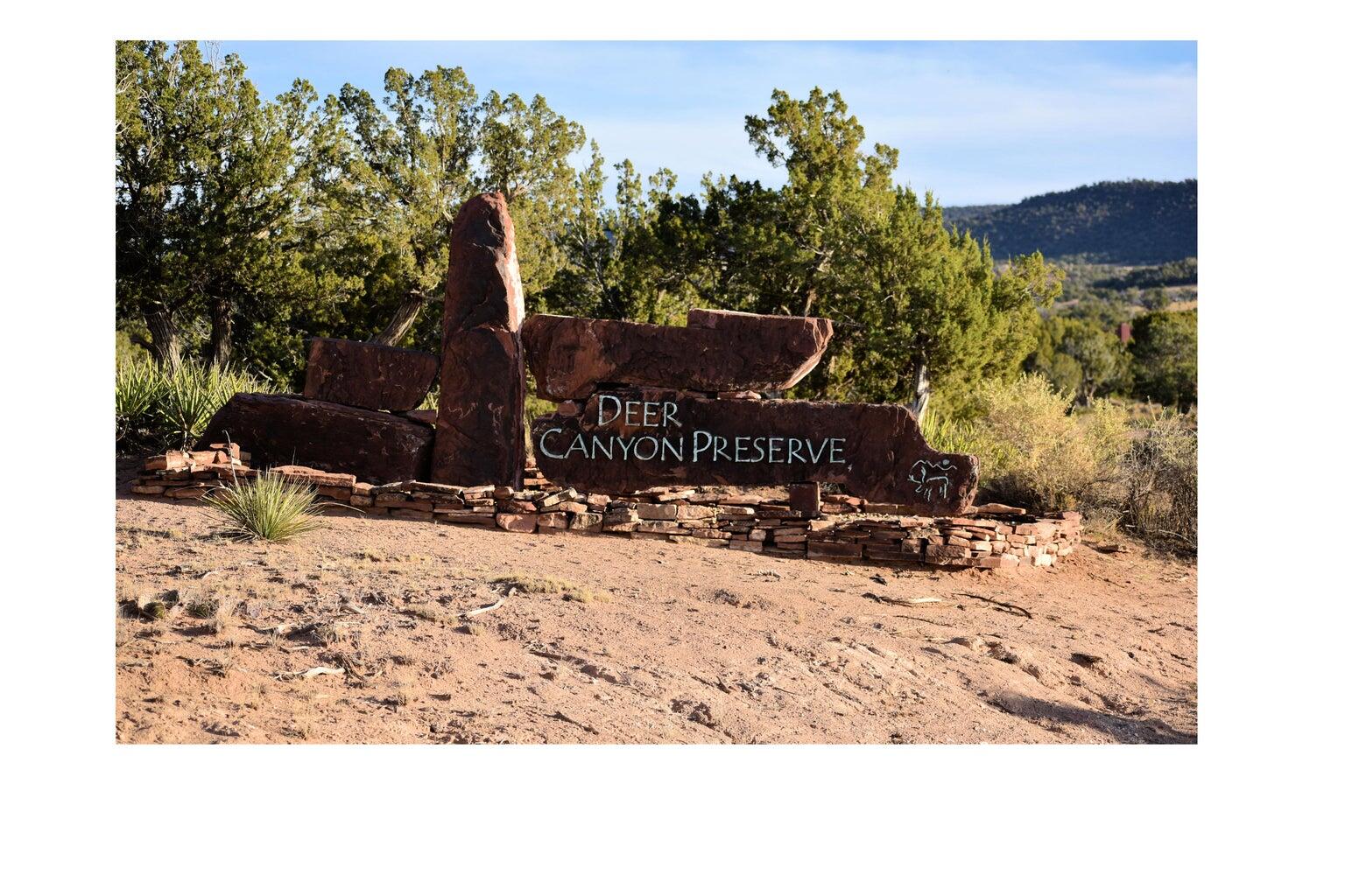 37 CHATO Trail