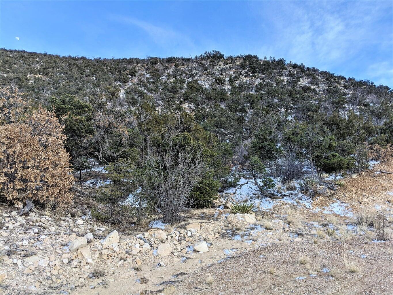 37 CHATO Trail