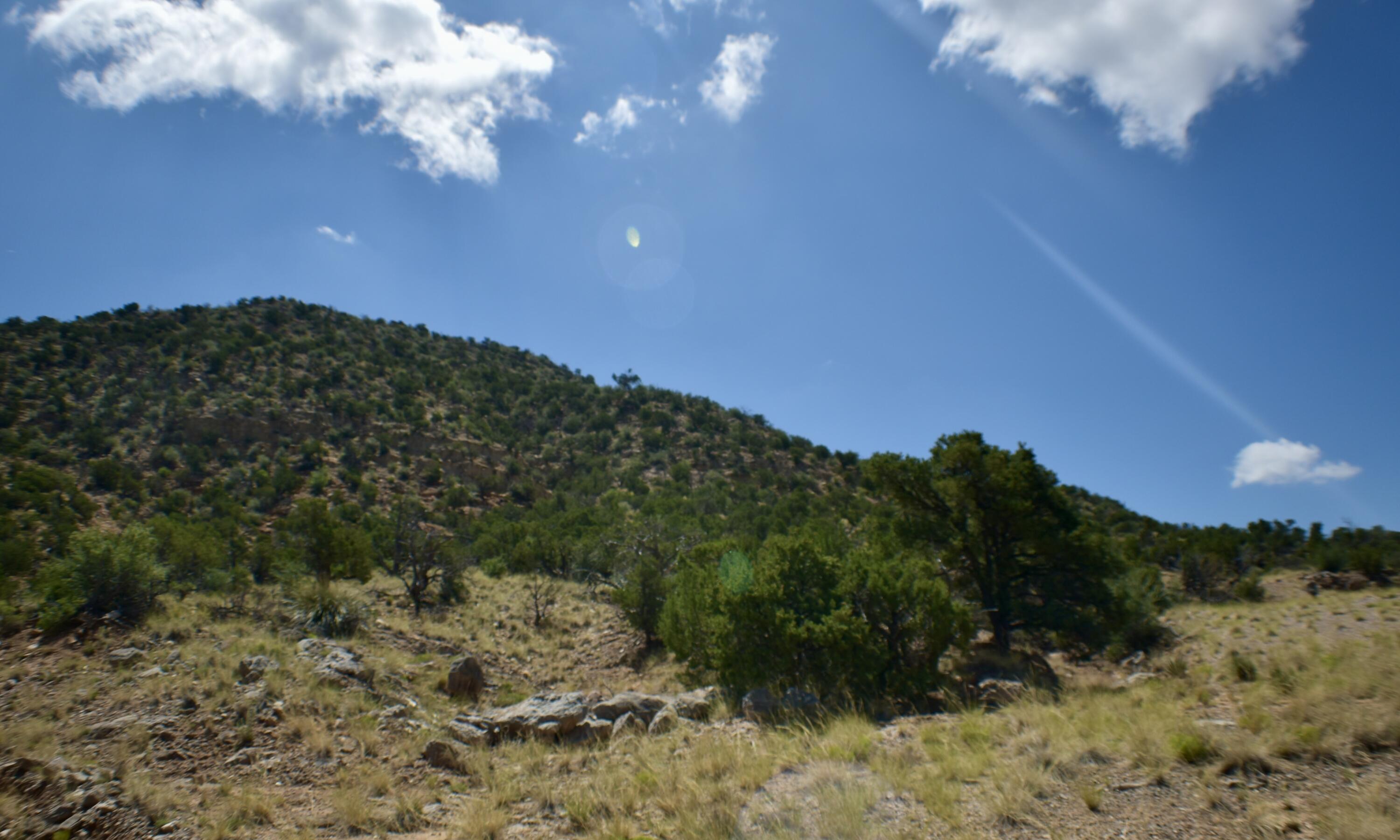 1676 Deer Canyon Trail Trail