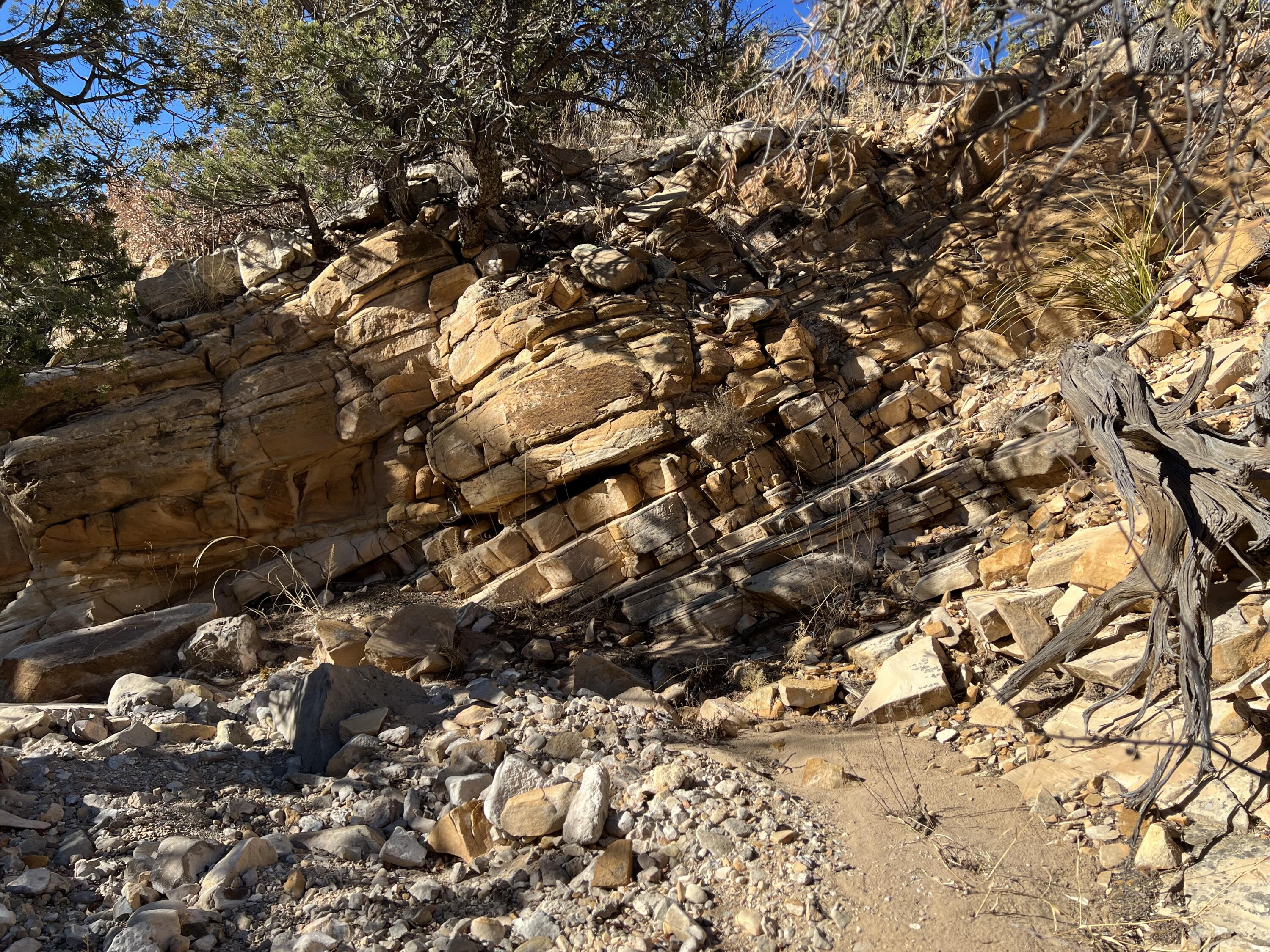 1957 DEER CANYON Trail