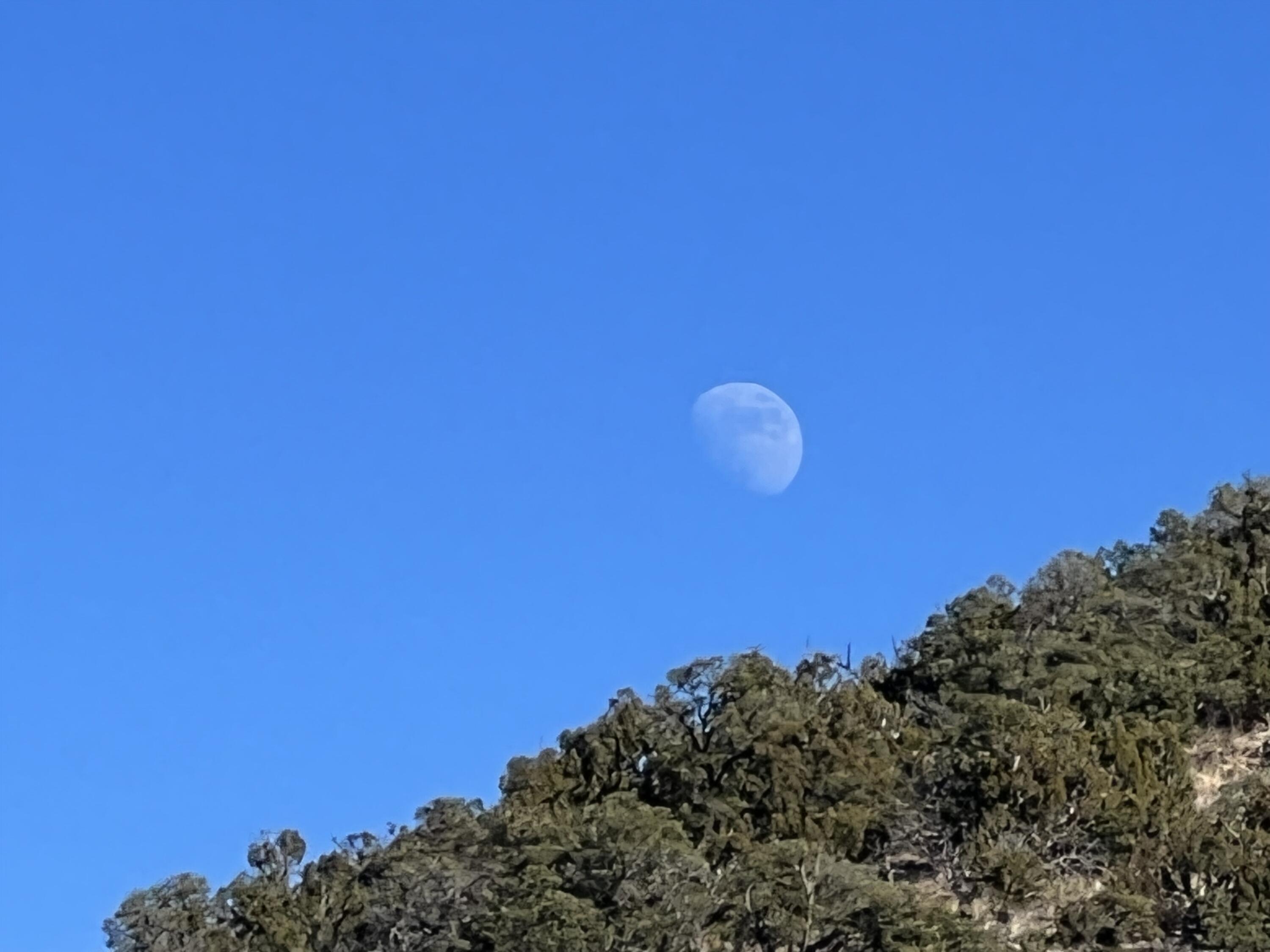 1957 DEER CANYON Trail