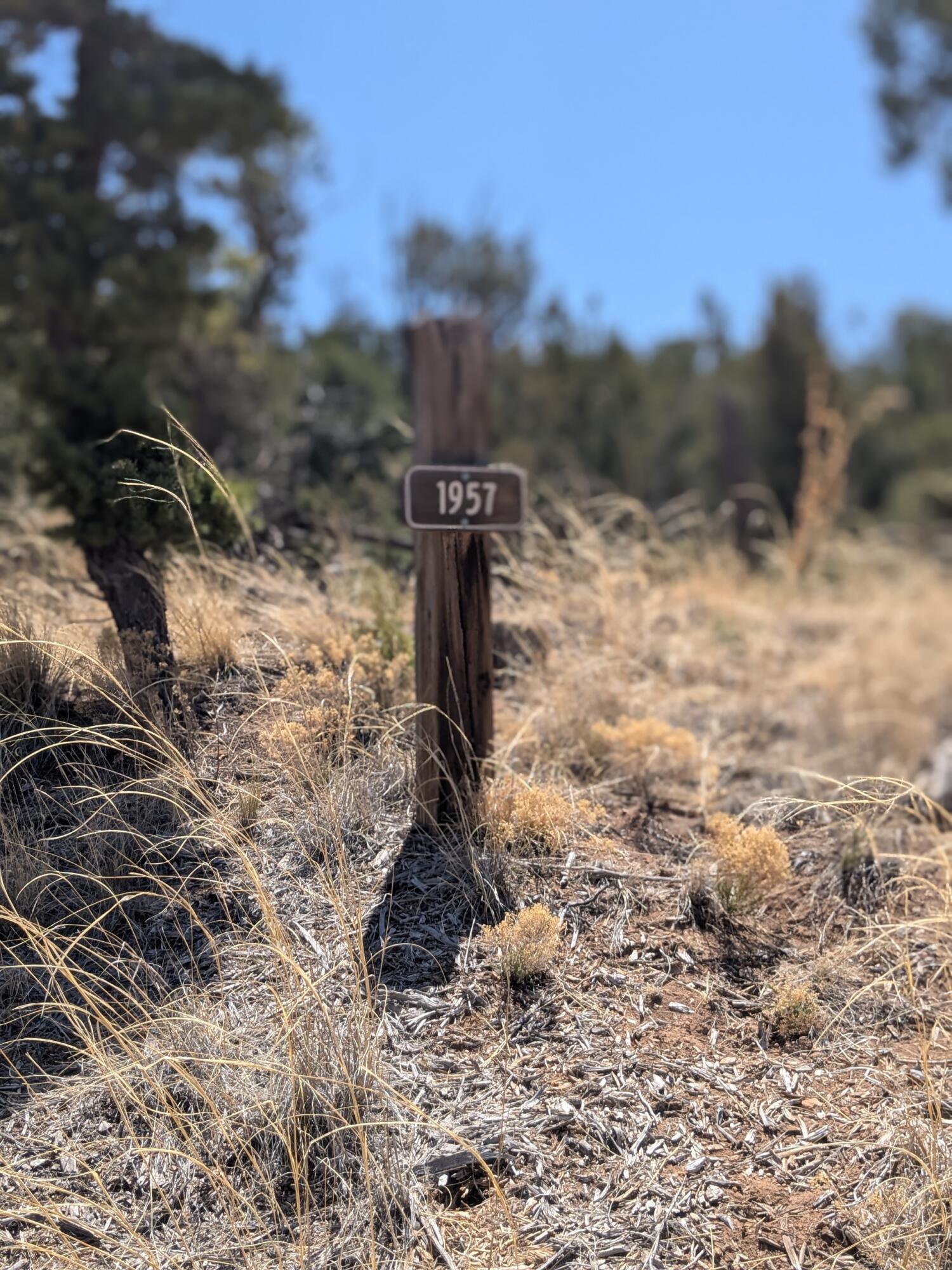 1957 DEER CANYON Trail