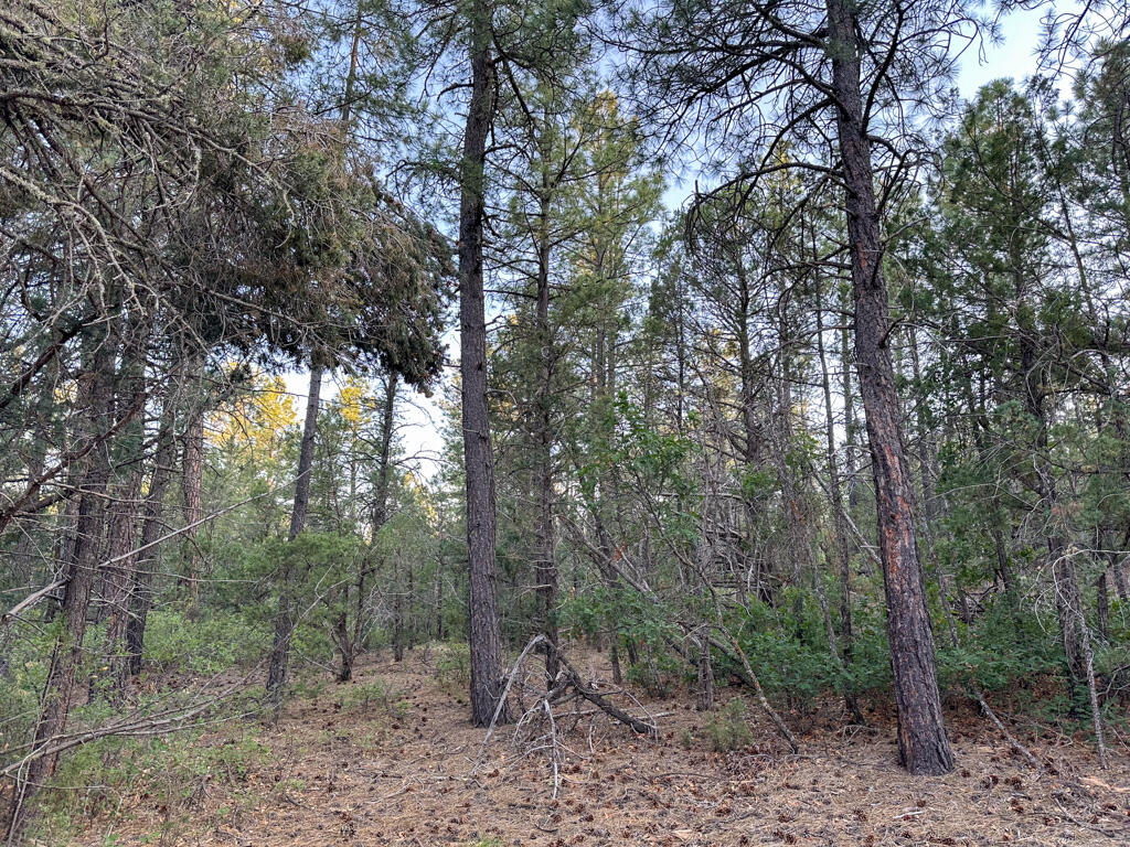 120 SKYLAND Boulevard