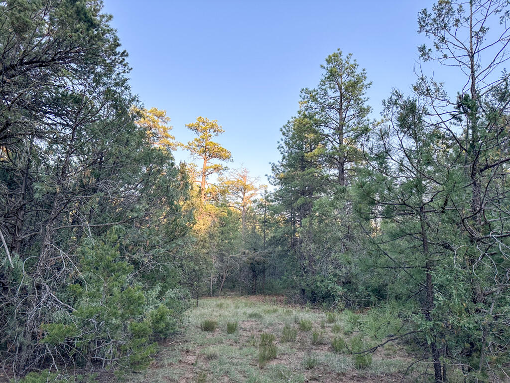 120 SKYLAND Boulevard