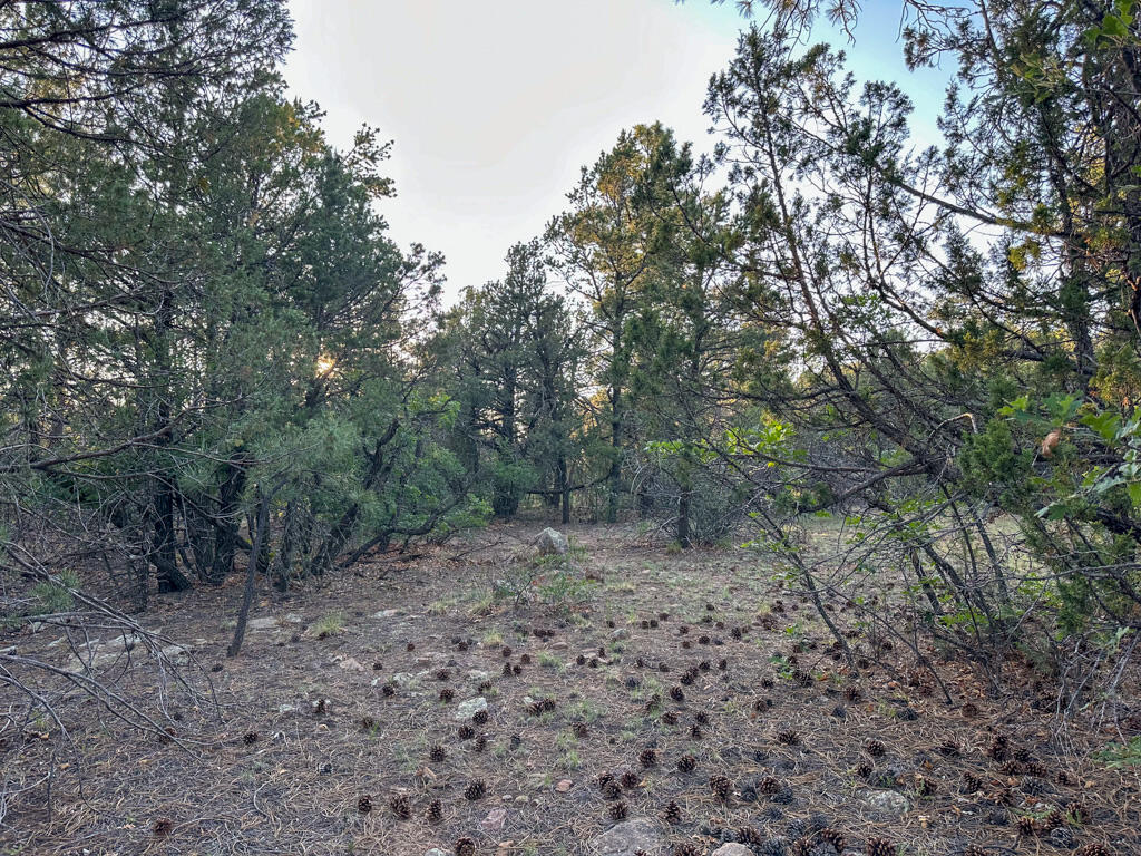 120 SKYLAND Boulevard