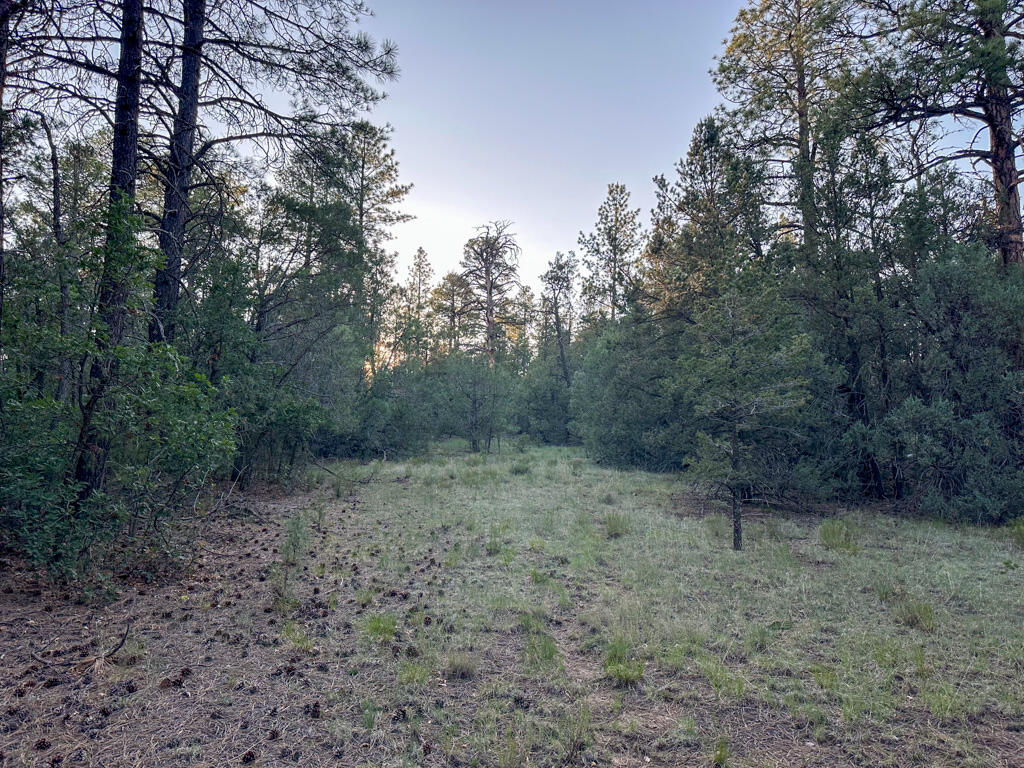 120 SKYLAND Boulevard