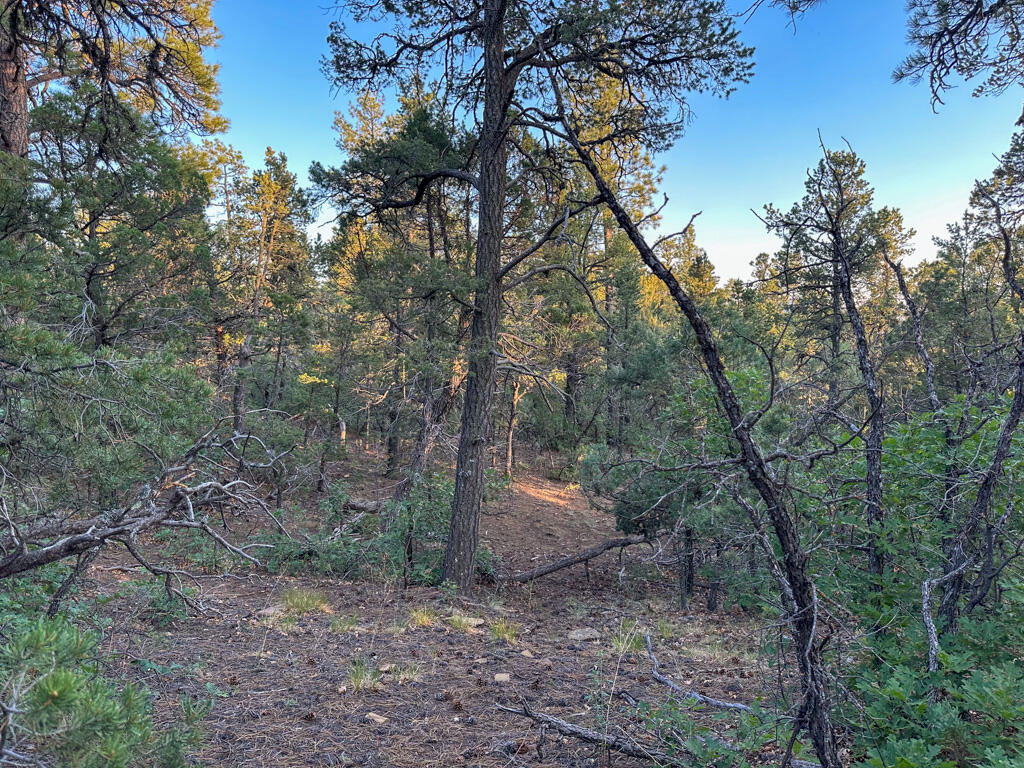 120 SKYLAND Boulevard