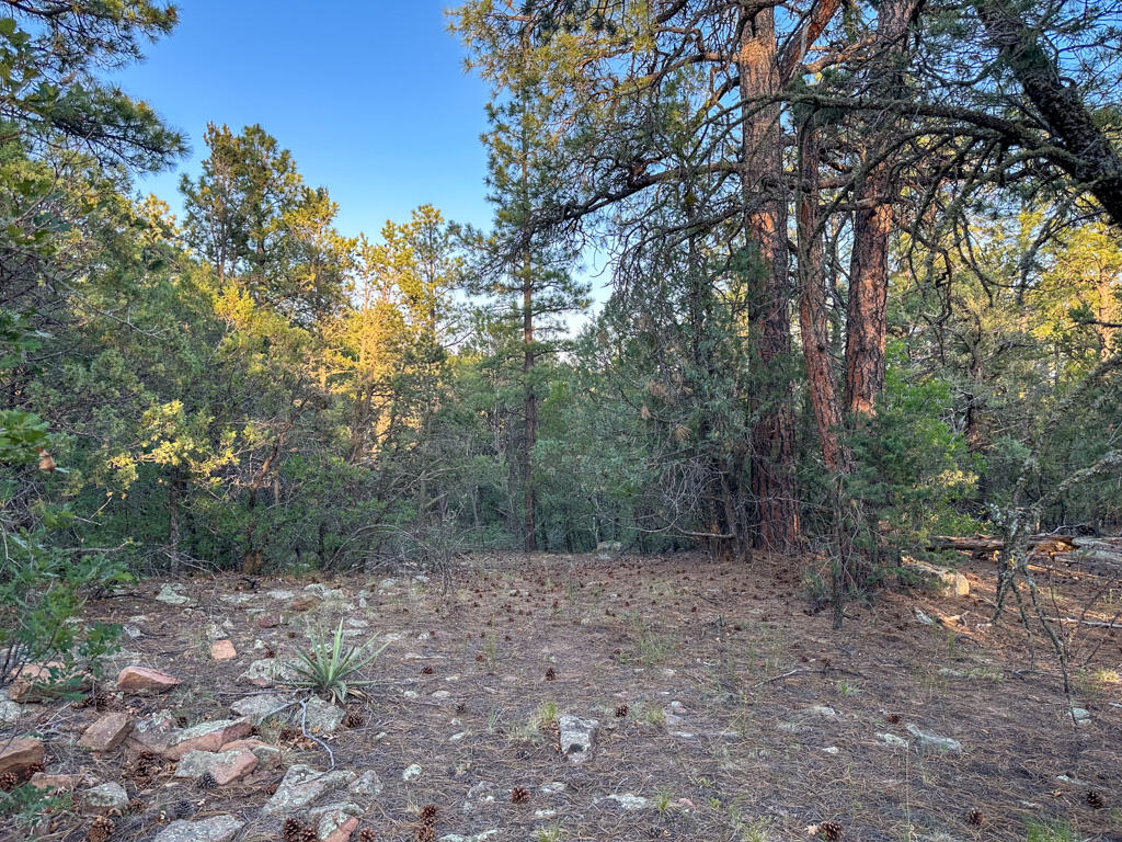 120 SKYLAND Boulevard