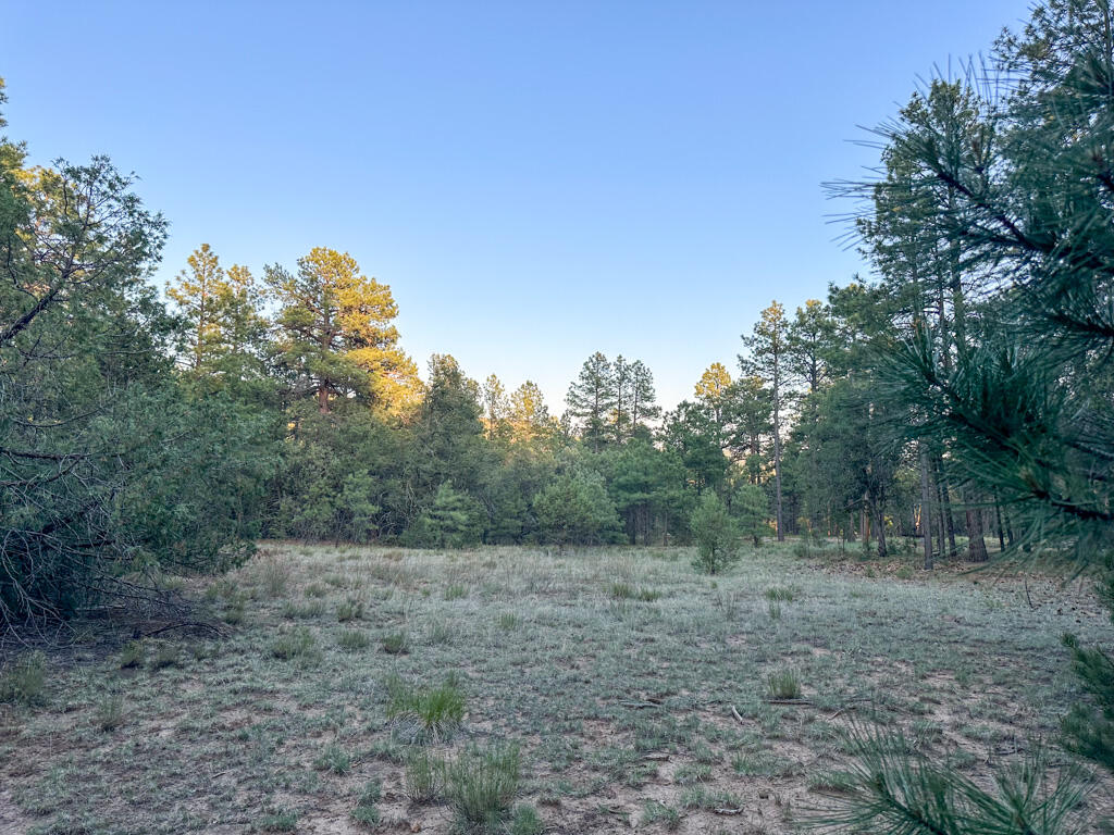 120 SKYLAND Boulevard