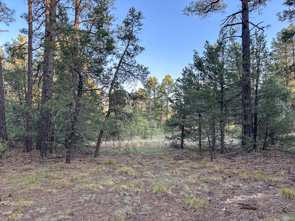 120 SKYLAND Boulevard