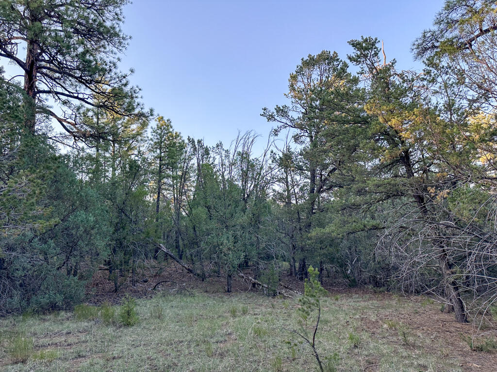 120 SKYLAND Boulevard