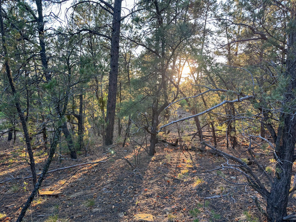 120 SKYLAND Boulevard