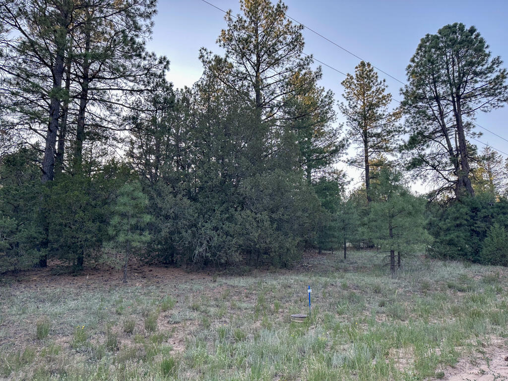 120 SKYLAND Boulevard