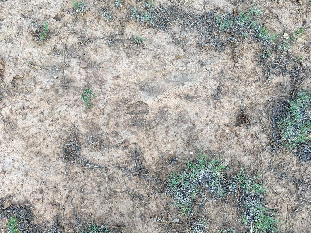 120 SKYLAND Boulevard