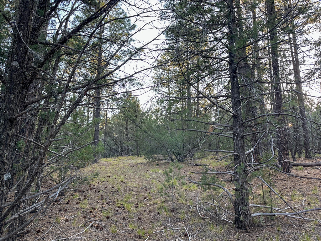 120 SKYLAND Boulevard