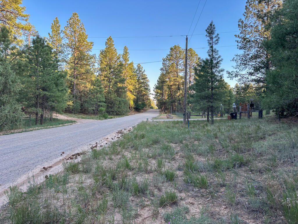 120 SKYLAND Boulevard