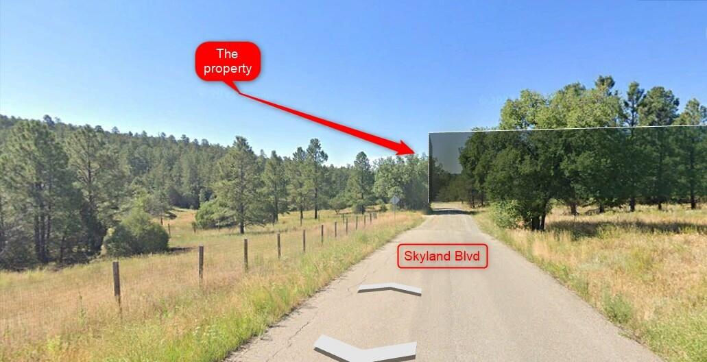 120 SKYLAND Boulevard