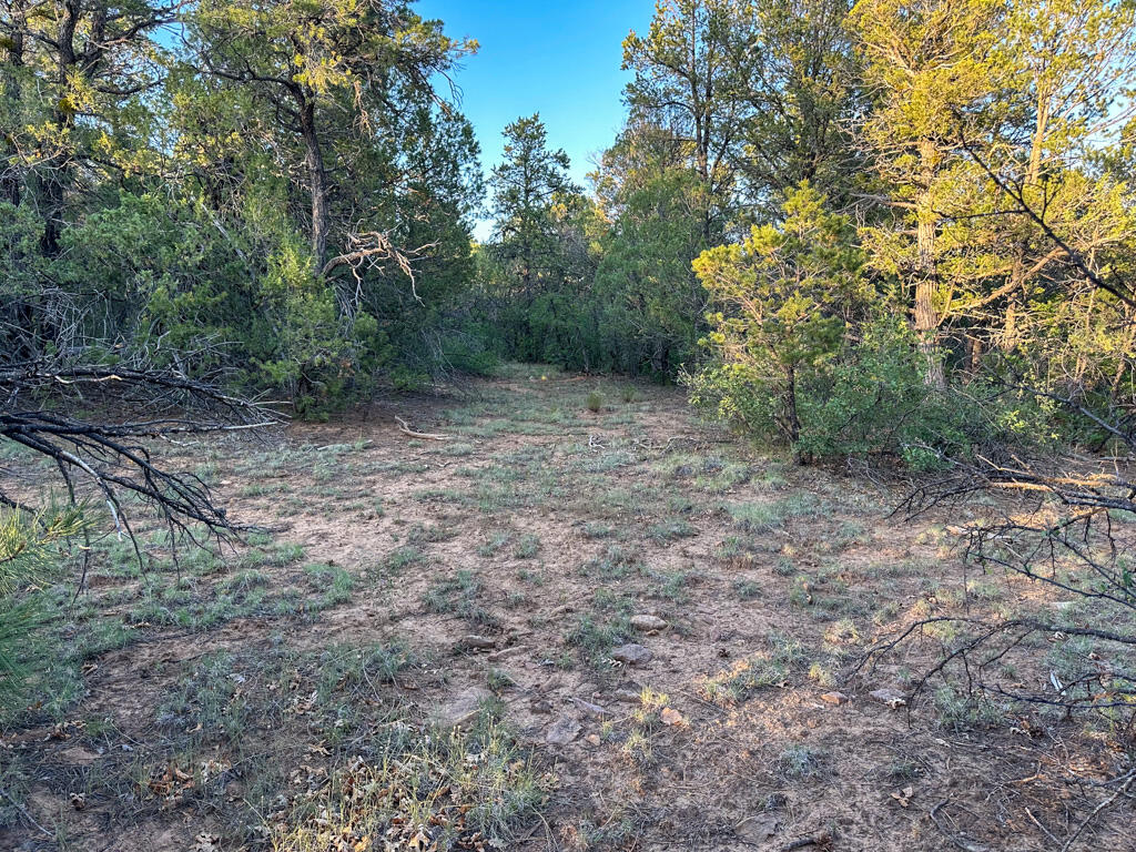 120 SKYLAND Boulevard