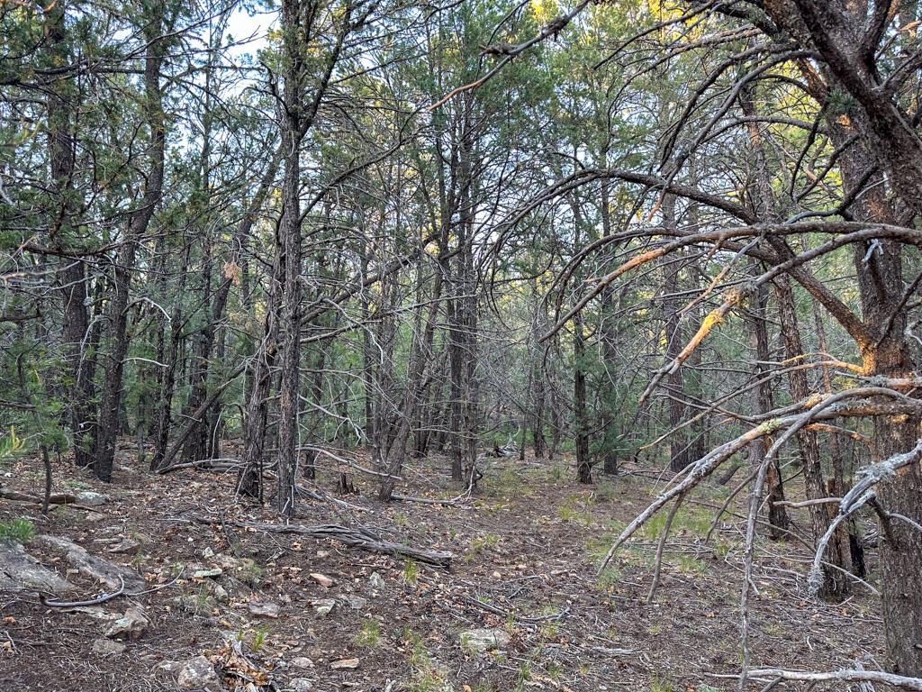 120 SKYLAND Boulevard