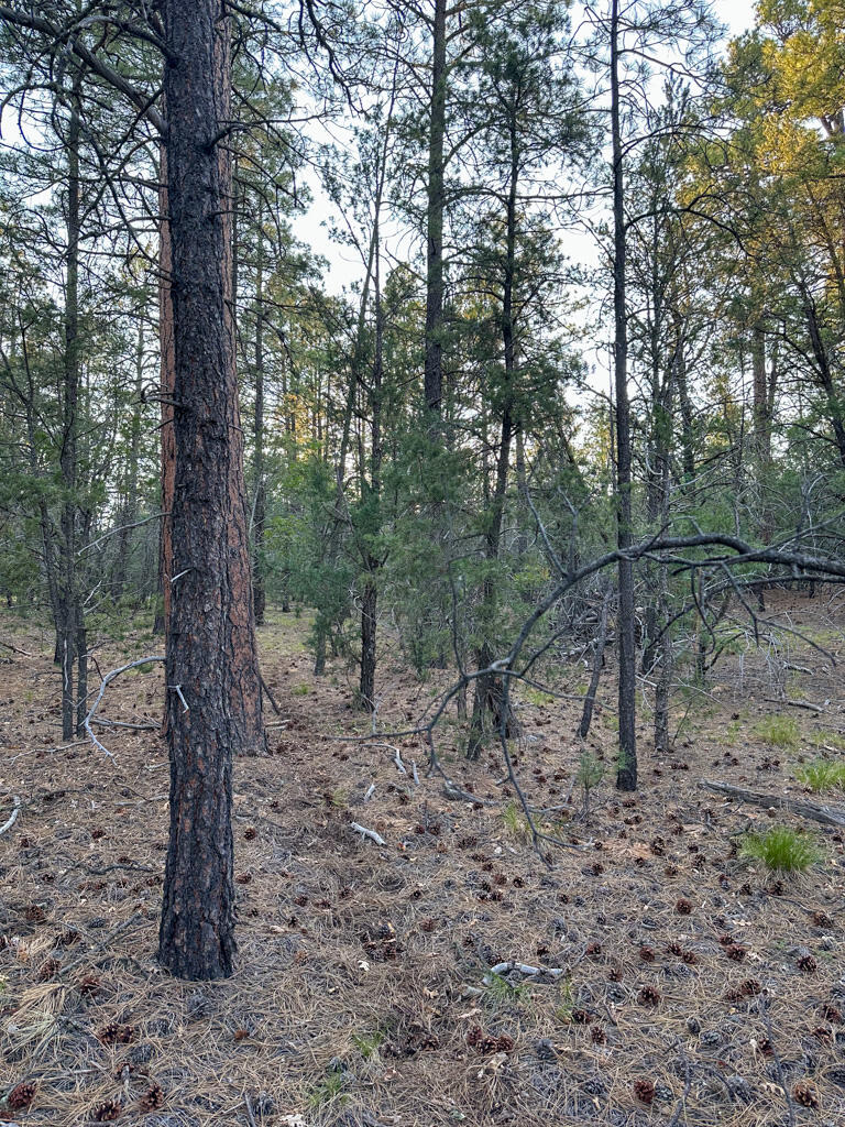 120 SKYLAND Boulevard