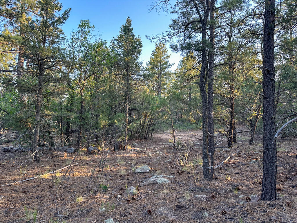 120 SKYLAND Boulevard