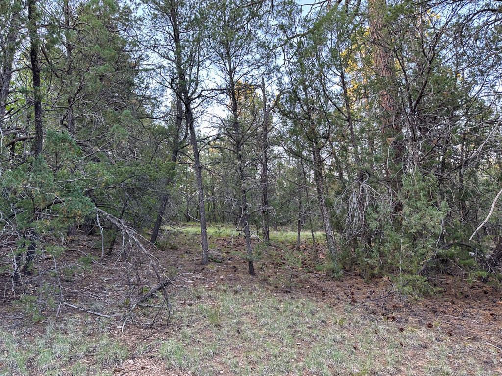 120 SKYLAND Boulevard