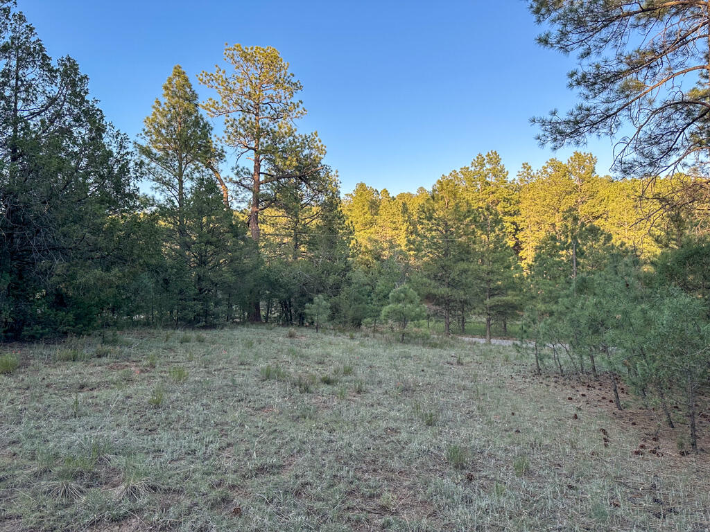 120 SKYLAND Boulevard