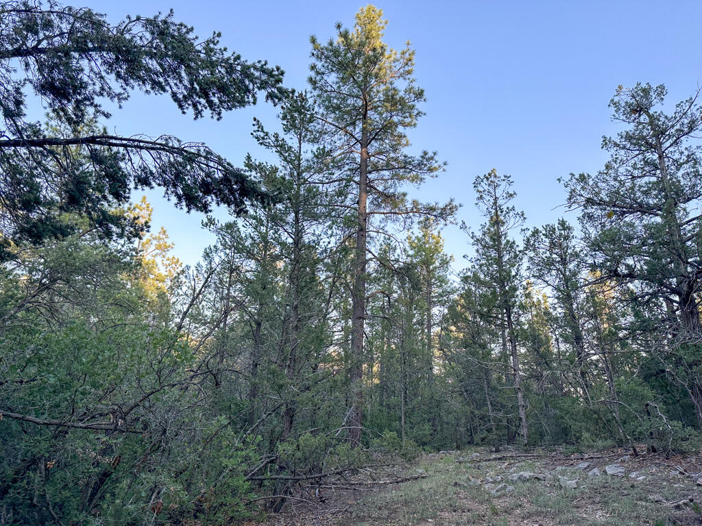 120 SKYLAND Boulevard