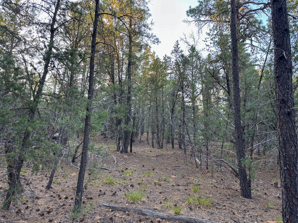 120 SKYLAND Boulevard