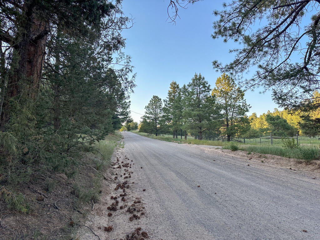 120 SKYLAND Boulevard