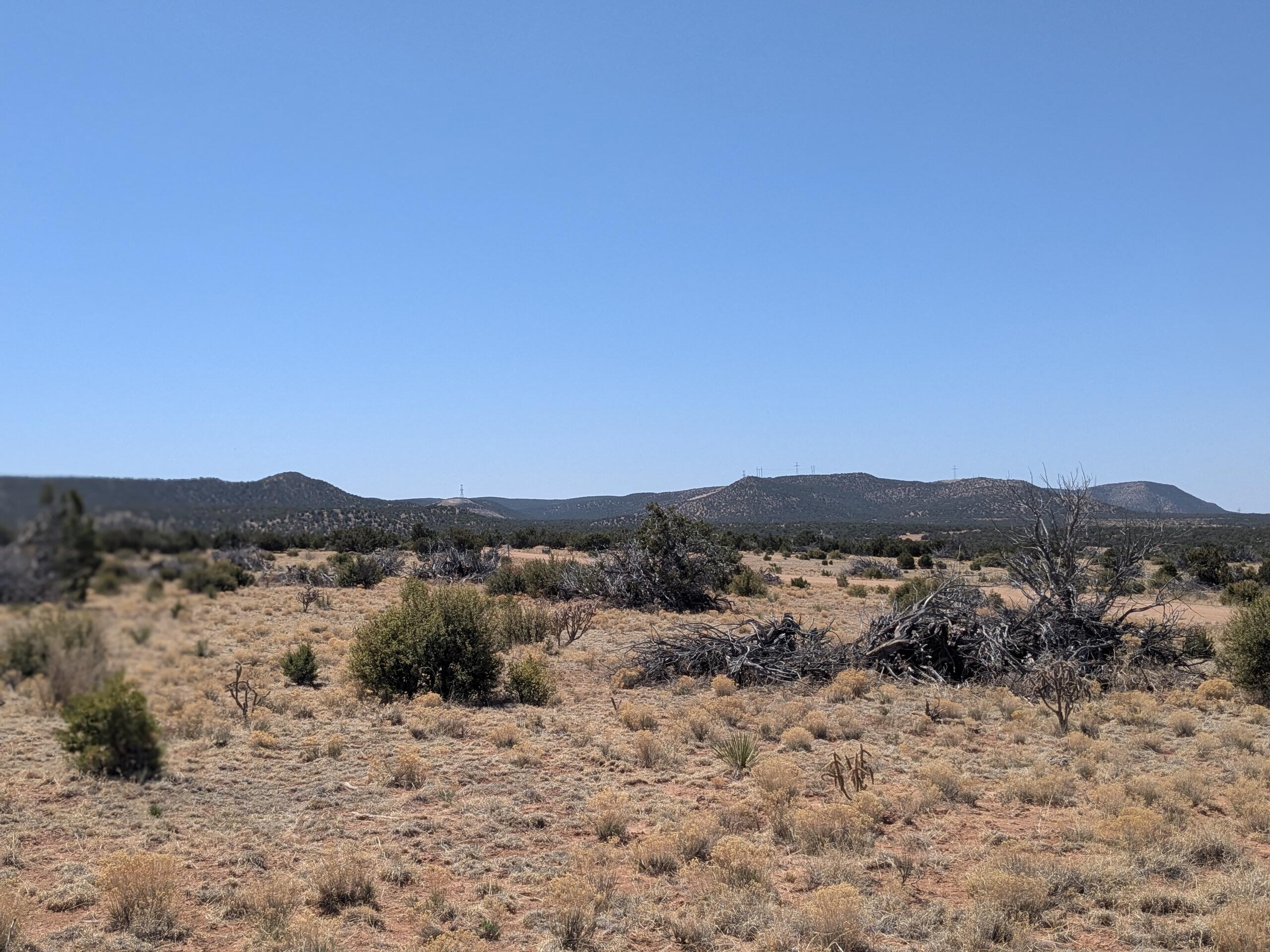 1864 DEER CANYON Trail