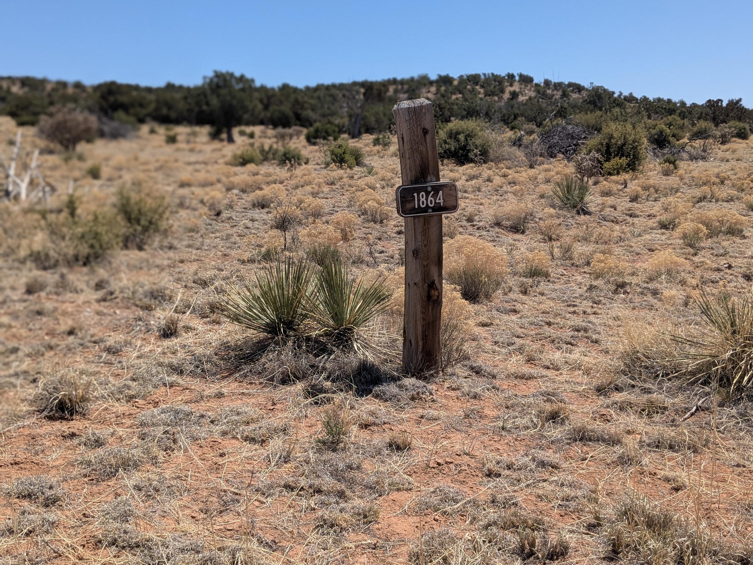 1864 DEER CANYON Trail