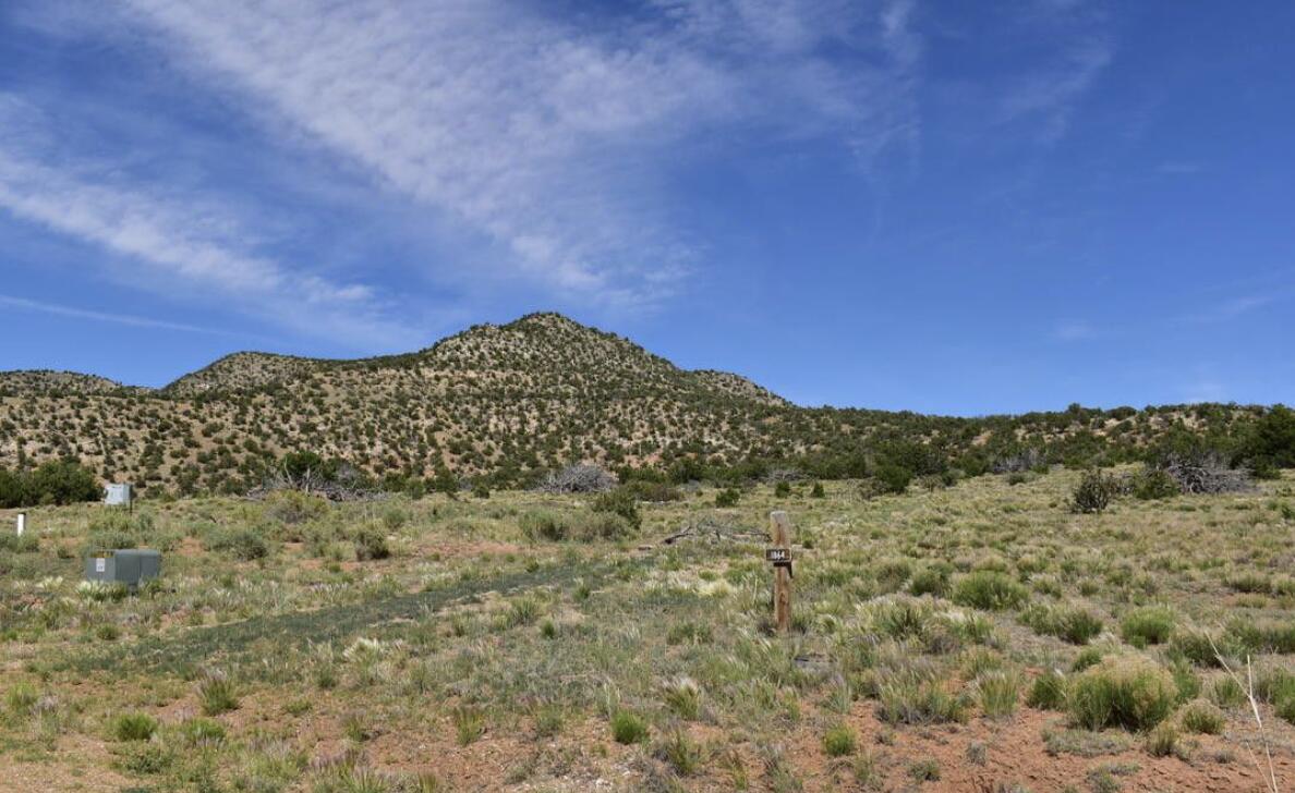 1864 DEER CANYON Trail