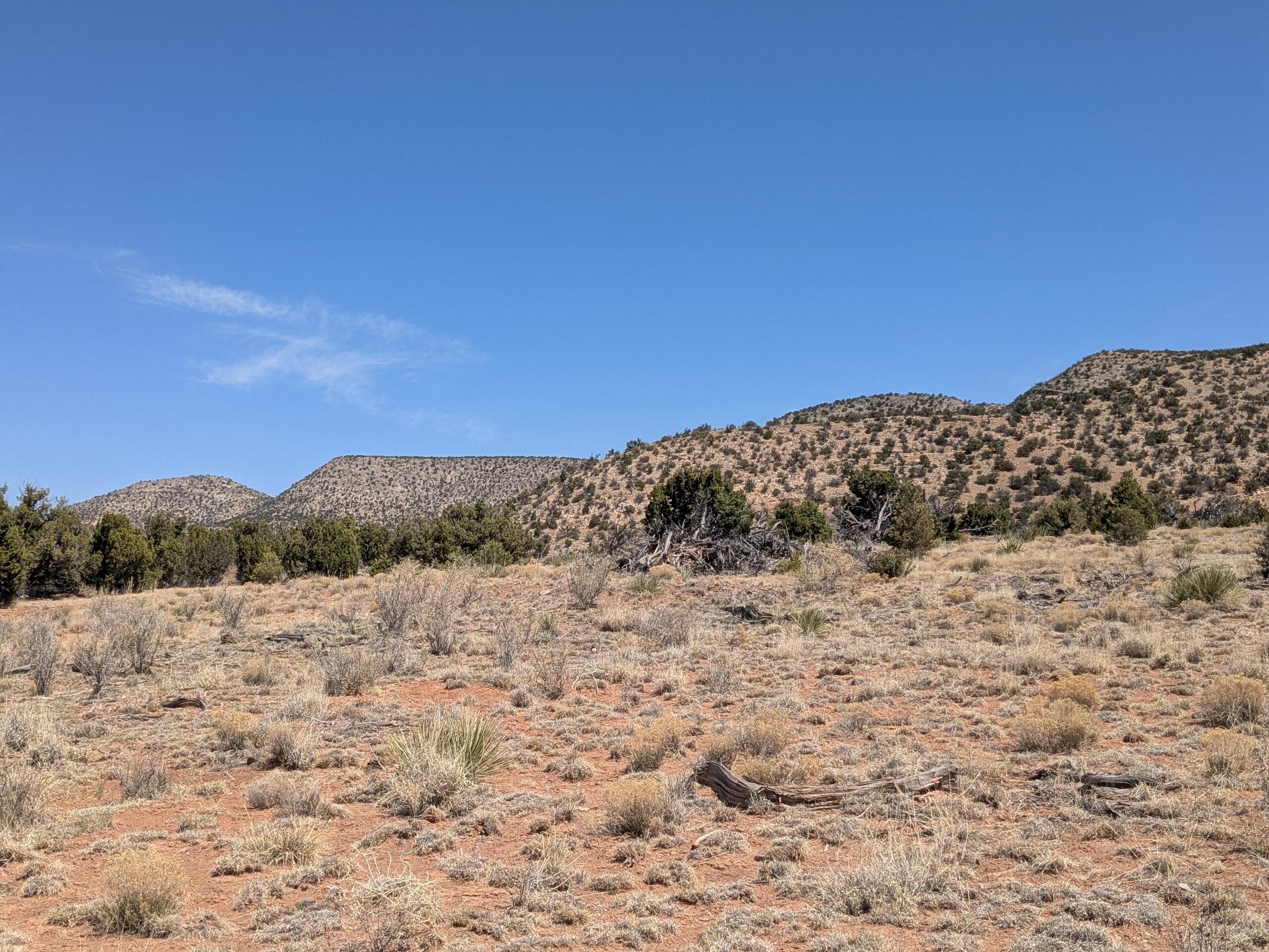 1864 DEER CANYON Trail