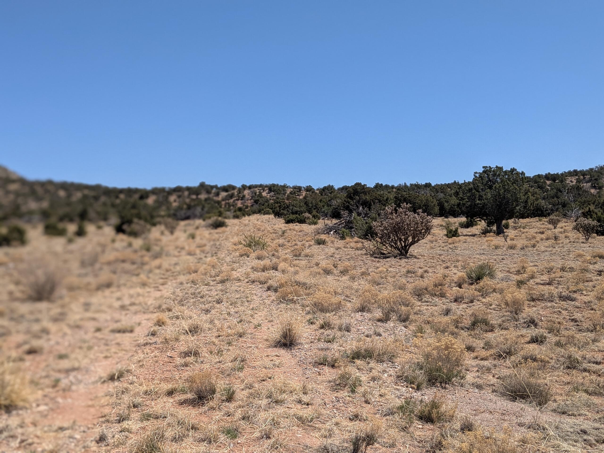 1864 DEER CANYON Trail